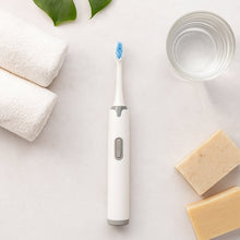 Brush