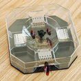 Cockroach killer box