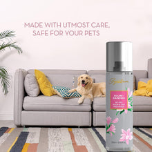 Signature Rajnigandha Room & Car Freshener Spray 250 ML